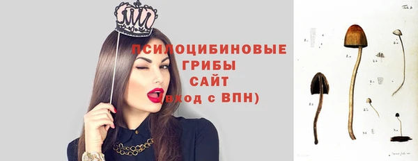 дживик Гусиноозёрск