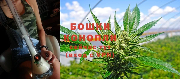 дживик Гусиноозёрск