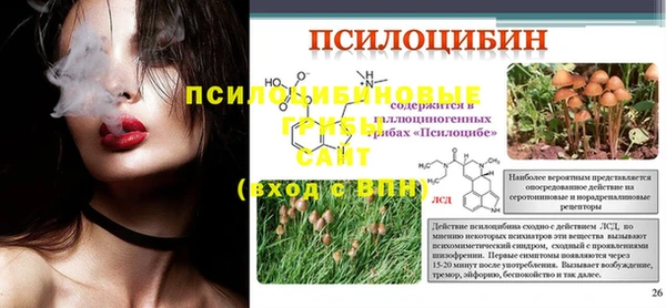 мяу мяу кристалл Гусев